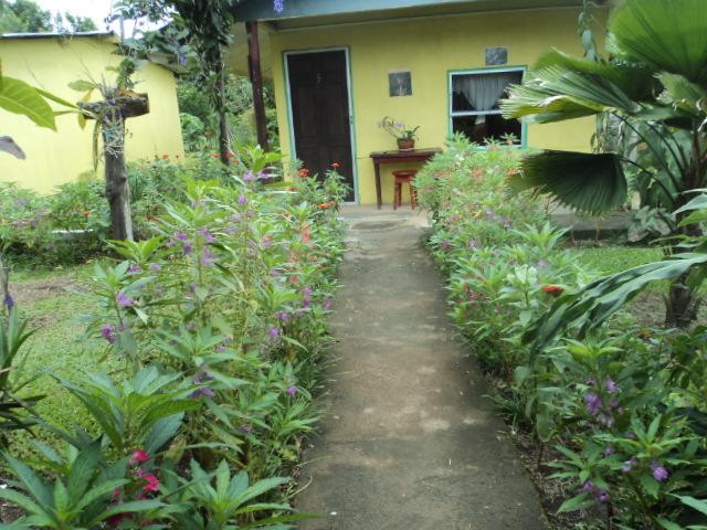 Posada Rural Oasis Caño Negro Exterior foto